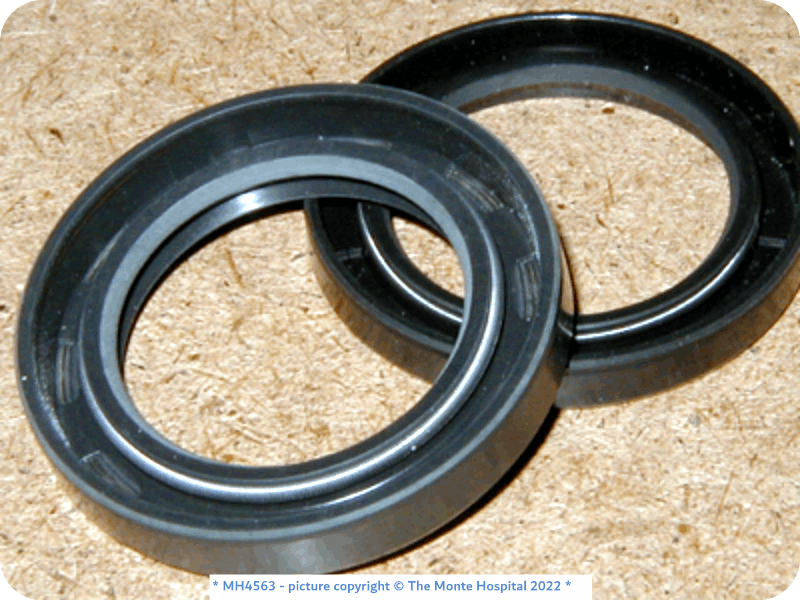 Clutch and Drive Train Differential Output Shaft Seals, set The Monte Hospital Shop