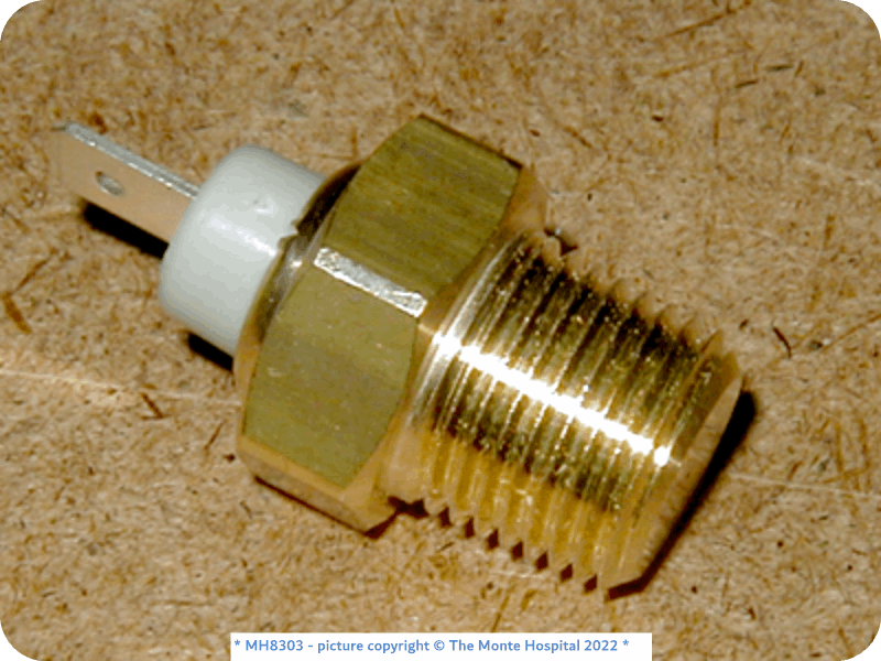 Electrical System Overheat Switch, Cylinder Head The Monte Hospital